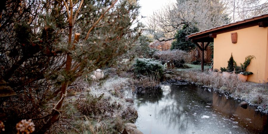 Gartenteich Búsche Frost Haus Eis