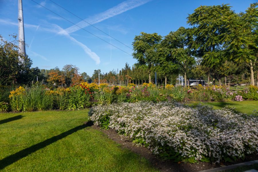 Garten Beete Blumen Bäume