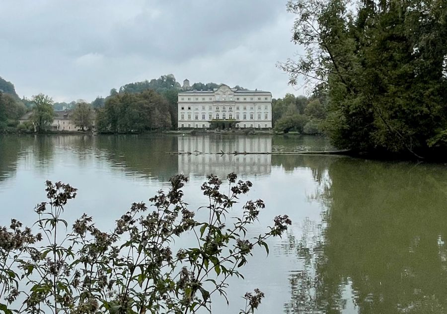 See Schloss Spiegelbild Wasser