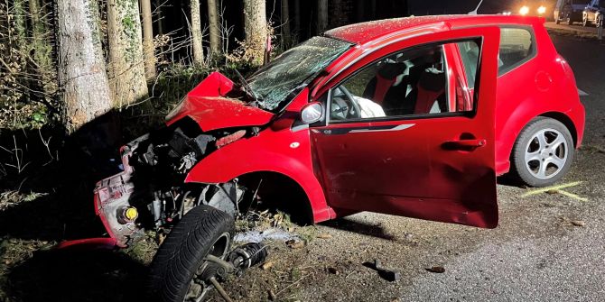 Der Autofahrer wurde schwer verletzt.