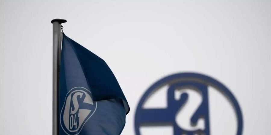 Eine einflussreiche Gruppe soll eine komplette Neubesetzung der Führungsebene des schwer kriselnden FC Schalke 04 anstreben. Foto: Fabian Strauch/dpa