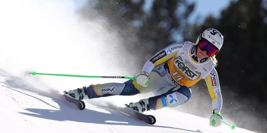 ski alpin