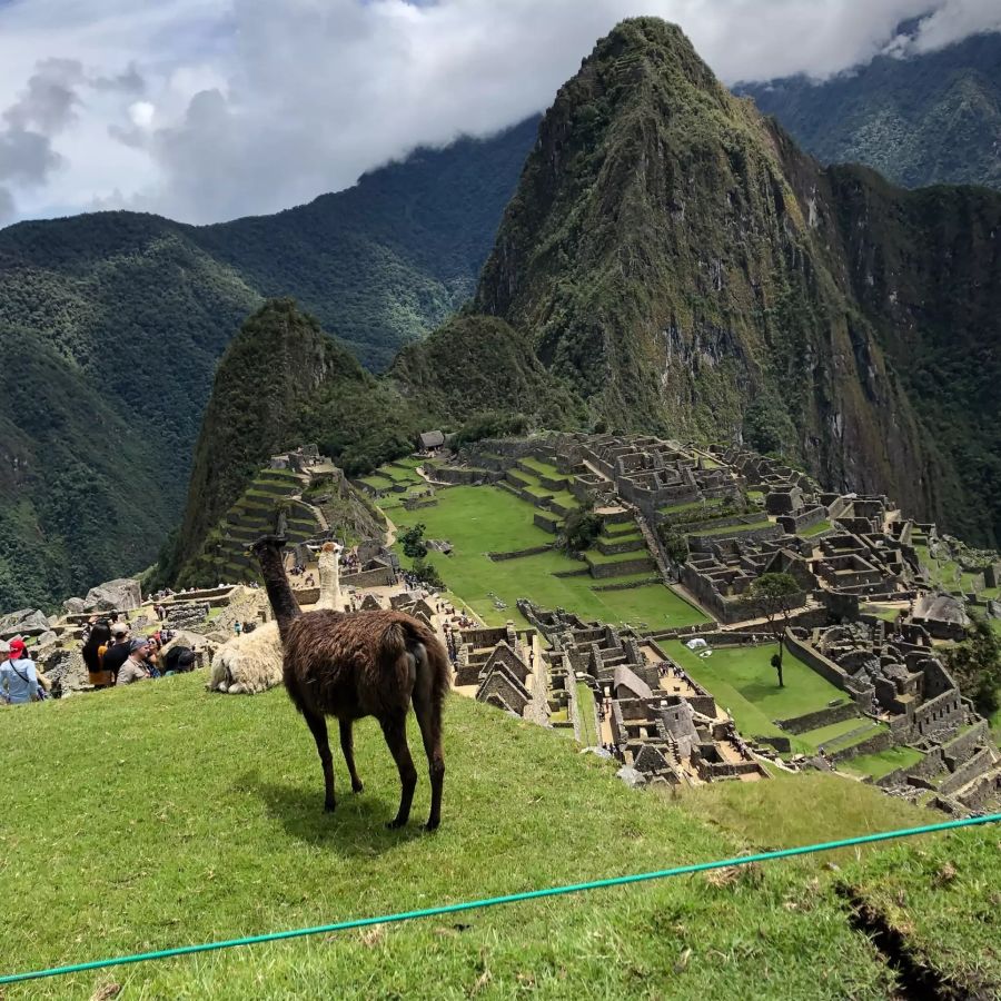 Machu Picchu