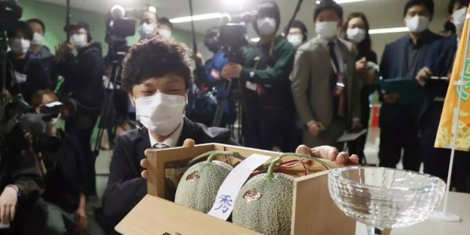 Das begehrte Melonen-Paar auf dem Grossmarkt von Sapporo Das begehrte Melonen-Paar auf dem Grossmarkt von Sapporo