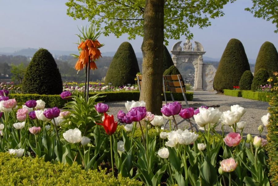 Schloss Wildegg Schlossgarten