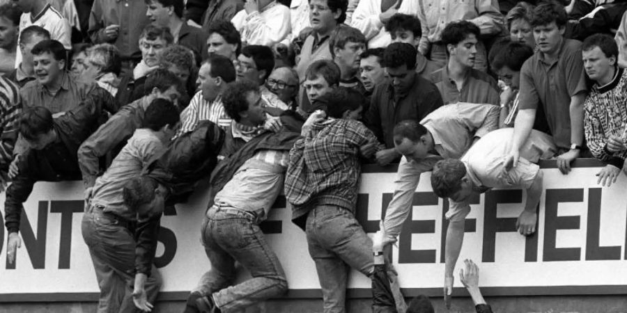 Hillsborough Stadium