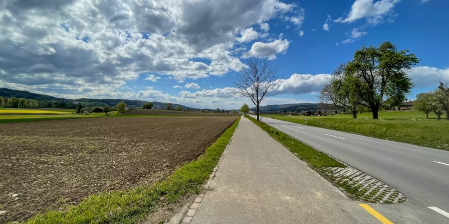 Ackerfelder bei Regensdorf ZH.