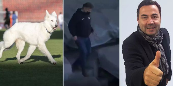 Wau, wau, wau! - Hündin Chilla mit Bestnote – zwei FCZler ungenügend