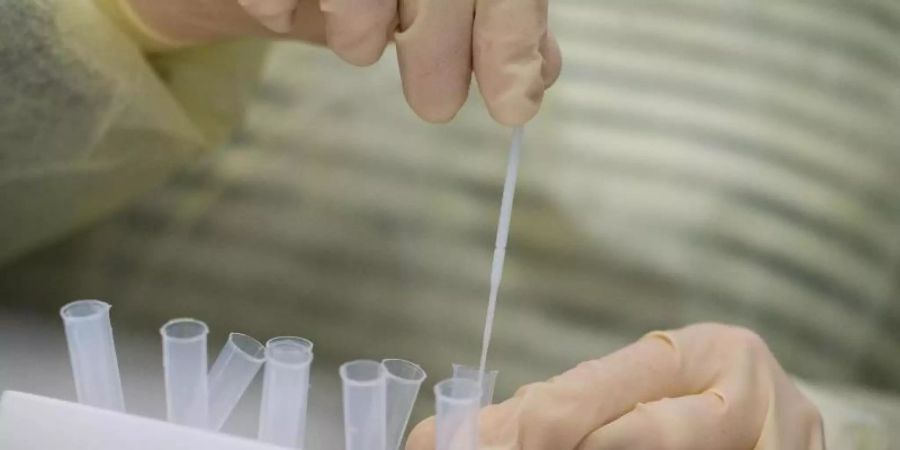 Eine Krankenschwester führt einen Corona-Schnelltest durch. Mit Schnelltests können Infizierte früher erkannt und schneller isoliert werden. Foto: Marijan Murat/dpa