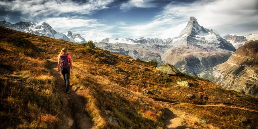 Zermatt Matterhorn Blumenweg Natur