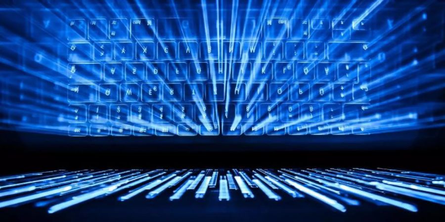 Ermittler aus Europa und den USA haben etwas Licht in den dunklen Teil des Internets gebracht und weltweit 179 im sogenannten Dark Web operierende mutmassliche Anbieter von Drogen und anderen illegalen Gütern festgenommen. Foto: Silas Stein/dpa