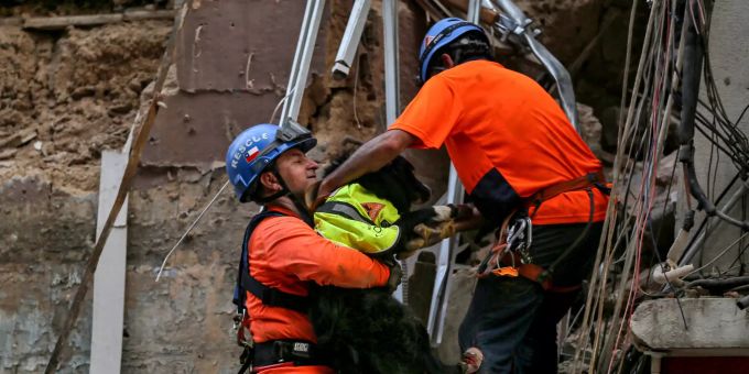 Chilenische Rettungskräfte tragen Fletch, einen Rettungshund, der bei einer Rettungsaktion in der Gegend von Gemmayzeh einen möglichen Überlebenden unter den Trümmern eines Gebäudes entdeckte, das bei der Explosion im vergangenen Monat eingestürzt war. beirut explosion