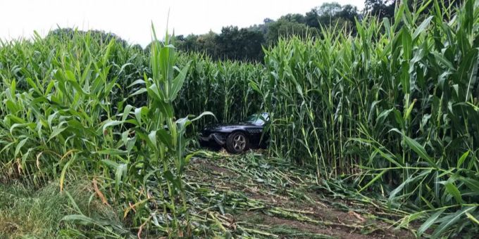 Ein Autofahrer landete auf der A6 bei Schüpfen in einem Maisfeld. unfall schüpfen
