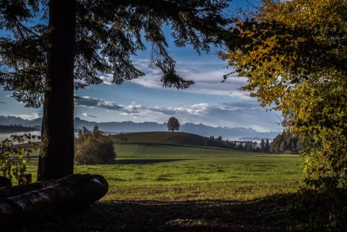 Das Wetter in der Schweiz: Am Freitag ist noch Sonne gemeldet. (Symbolbild) wetter schweiz