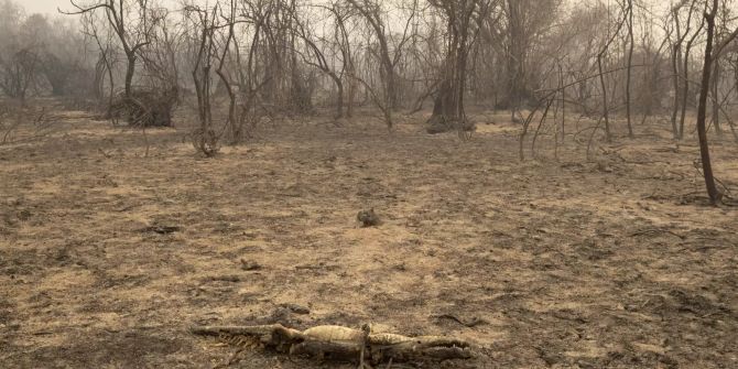 Brazil Wetlands Fire