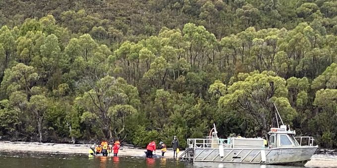 Helfer retten gestrandete Wale am 25. September 2020 an der Westküste Tasmaniens in Australien. Gestrandete Wale