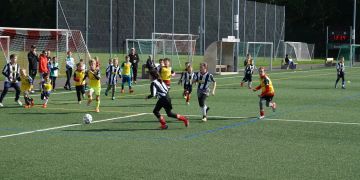 Fulbito Cup