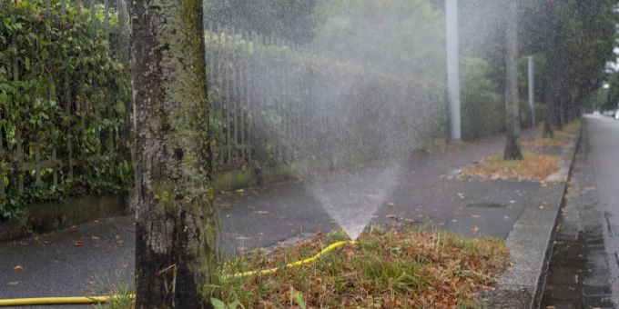 Ein Wasserpilz wird zur Bewaesserung einer Baumrabatte benutzt. (Symbolbild) basel