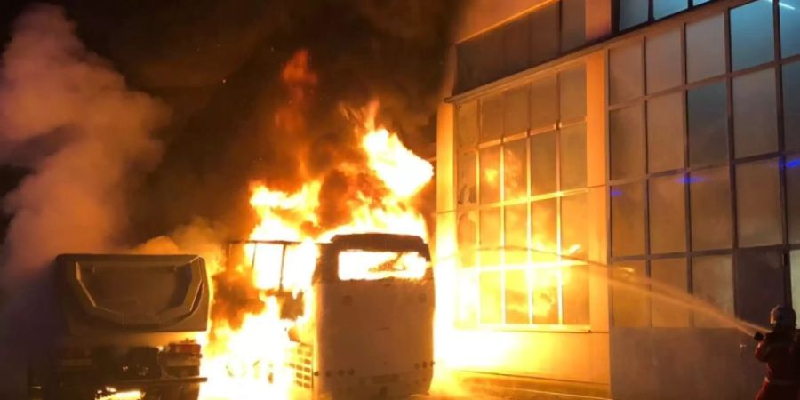 Flammeninferno in Schlieren ZH: Auf einem Firmengelände sind zwei LKWs und zwei Cars ausgebrannt.
