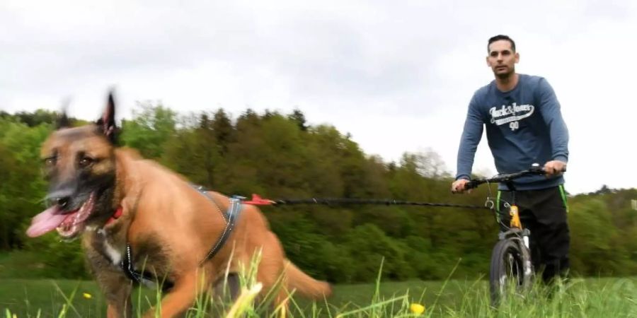 Erst der Hund, dann das Herrchen: Mario Reitz lässt sich von seiner Schäferhündin Kira ziehen. Foto: Harald Tittel