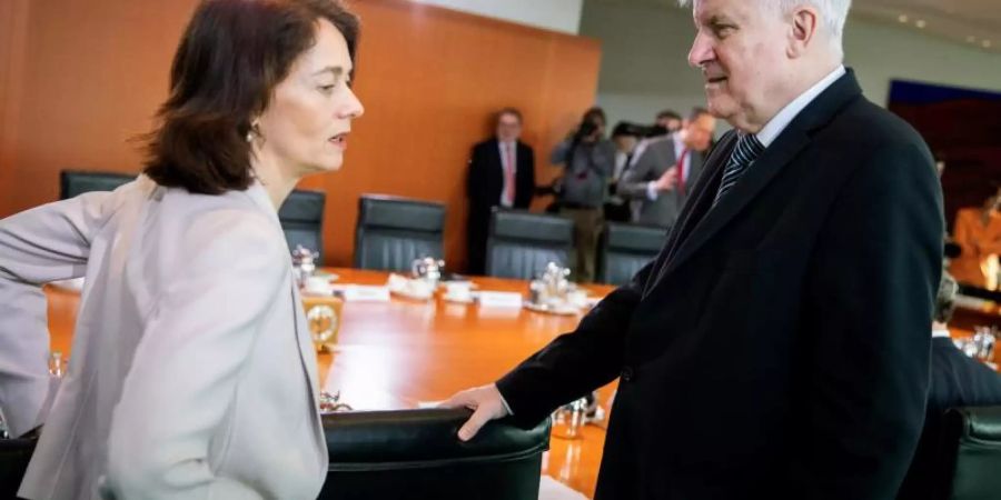 Bundesjustizministerin Katarina Barley und Bundesinnenminister Horst Seehofer am Rande einer Kabinettssitzung im Kanzleramt. Foto: Kay Nietfeld
