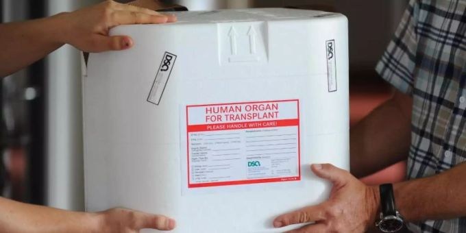 Eine Organtransportbox: Der Entscheid für oder gegen eine Organspende kann im Nationalen Organspenderegister eingetragen werden. organspende