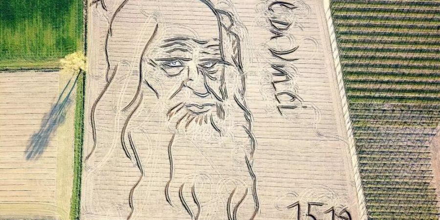 Auf einer Fläche von 27.000 Quadratmetern hat der Künstler und Landwirt Dario Gambarin ein Porträt von Leonardo da Vinci in ein Feld "gezeichnet". Foto: Dario Gambarin