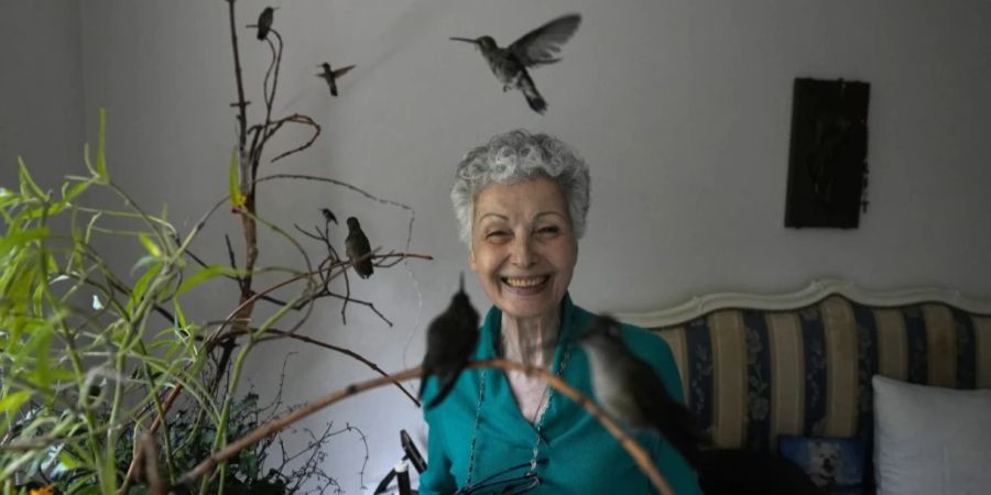 Catia Lattouf und Kolibris