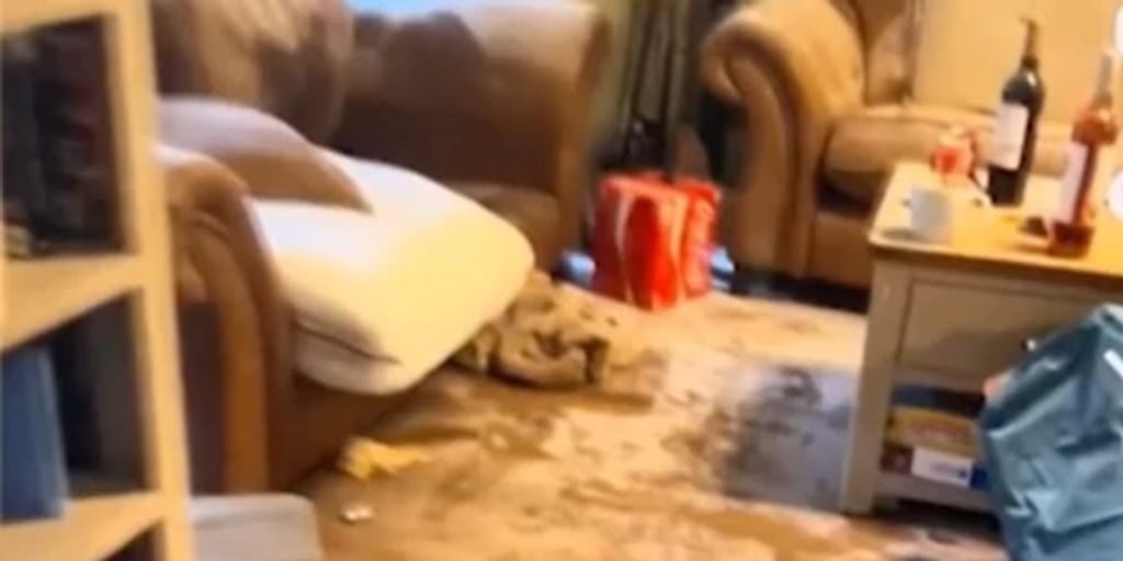 A teenage daughter destroys her home at a sleepover
