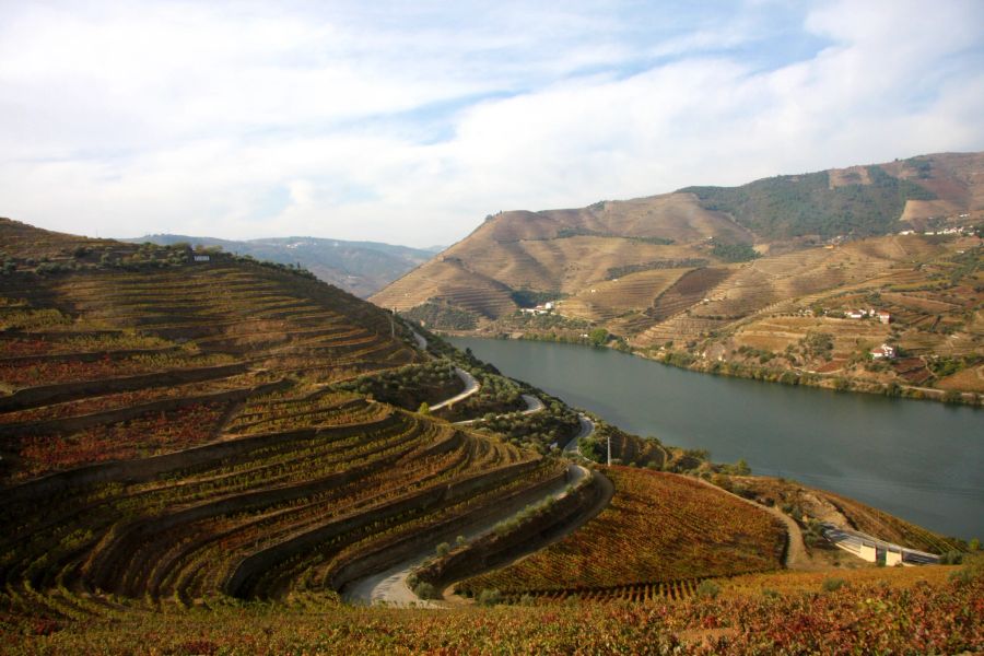 Weinberg Fluss Reben Berge