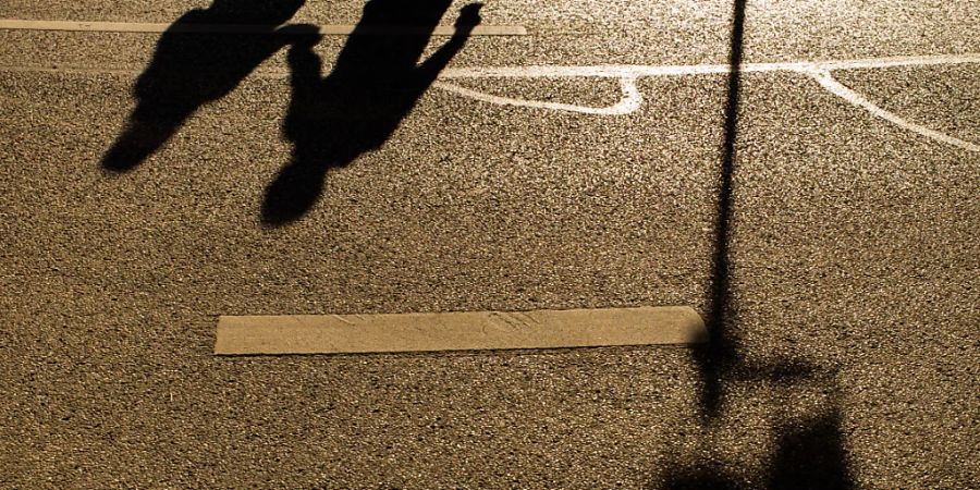 Die Schweiz muss in Zukunft in die Höhe bauen, sonst droht wegen der Bodenversiegelung der Verlust von fast einem Fünftel an fruchtbarem Boden. «Die meisten Menschen werden in Zukunft auf engerem Raum leben müssen», sagt die ETH-Raumplanerin Adrienne Grêt-Regamey. (Archivbild)