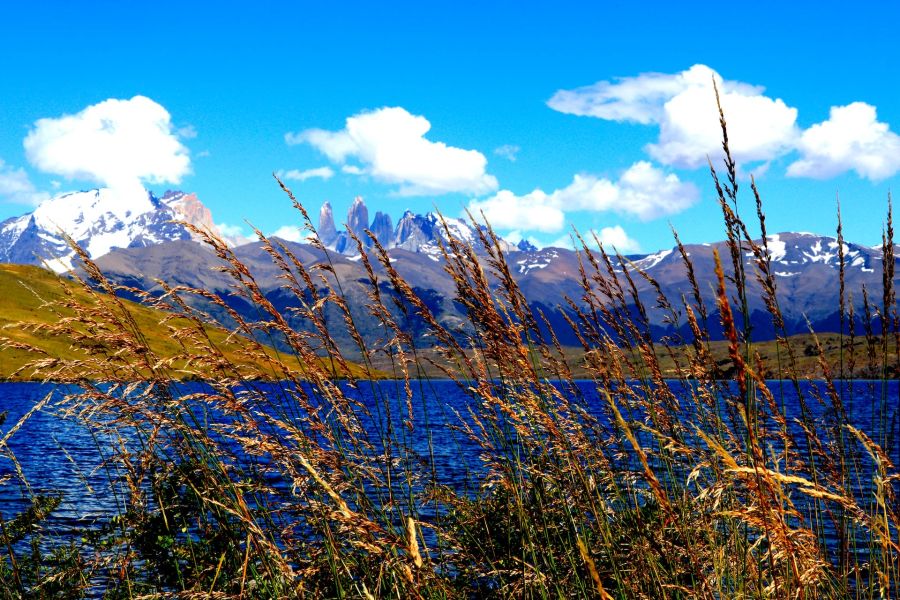 See Schilf Berge Panorama Gipfel Torres del Paine