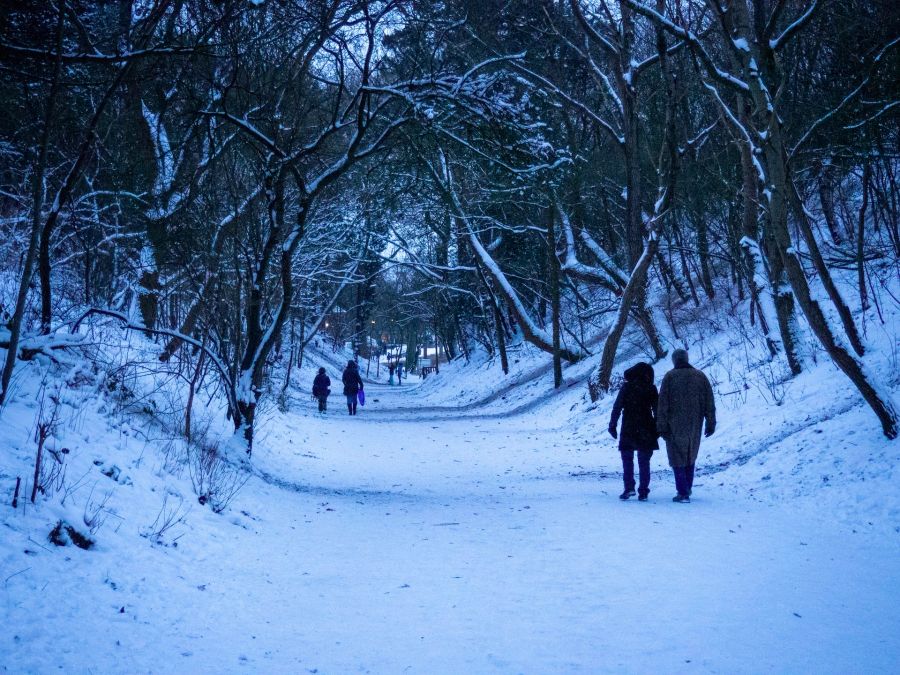 Winterspaziergang