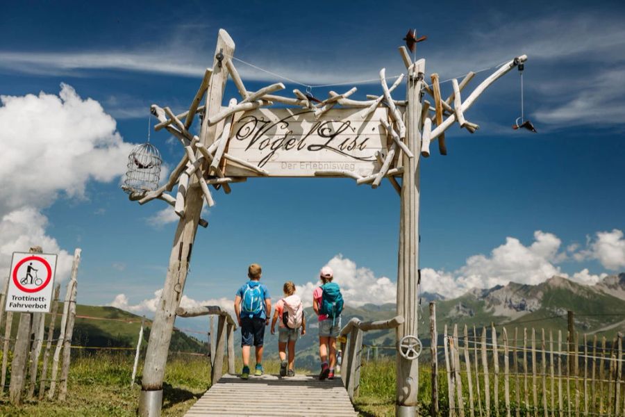 VogellisiBerg Adelboden