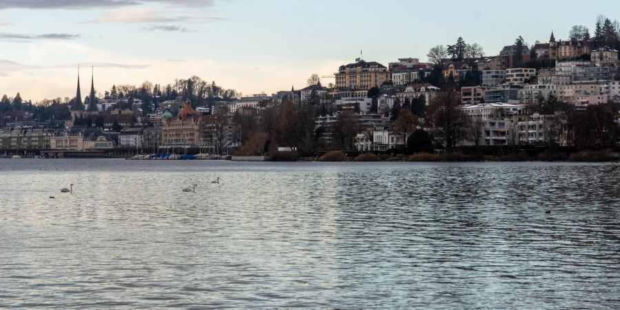 Ausblick von der Lido Wiese auf die Altstadt Luzern.