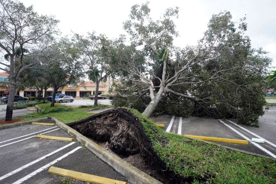 Ein von den starken Winden der äusseren Bänder des Hurrikans «Ian» entwurzelter Baum in Florida.