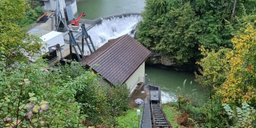 Das Wasserkraftwerk Herrentöbeli an der Thur im toggenburgischen Nesslau-Krummenau. Hier testen die Kraftwerke SAK und Forschende der ETH Zürich neuartige Rechen zum Schutz der Fische.