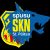 Logo SKN ST. Polten