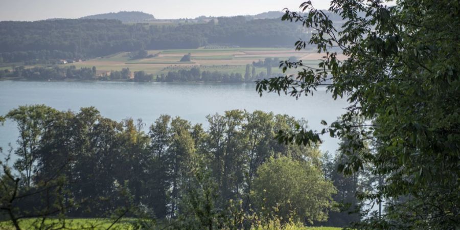 Das am Hallwilersee liegende Restaurant Seerose erhebt einen Energiezuschlag von fünf Prozent. (Symbolbild)