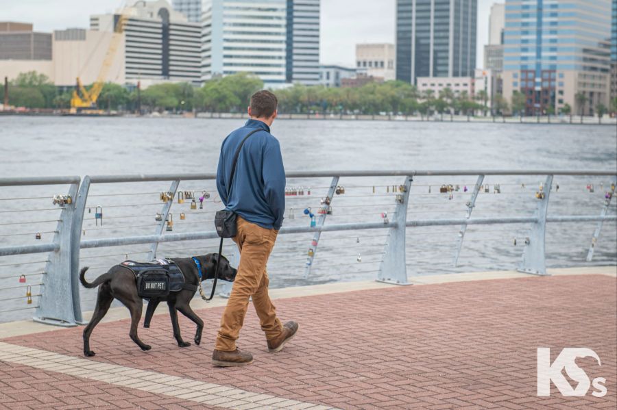 Die US-Organisation «K9s for Warriors» bildet Therapie-Hunde für traumatisierte Kriegs-Veteranen aus.