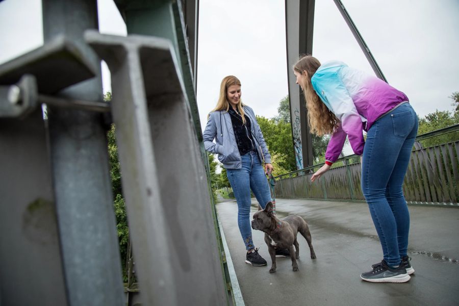 Frau Hund Frauchen Brücke streicheln