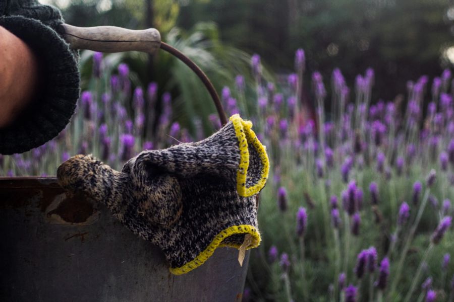 Eimer Handschuhe Blumen Garten