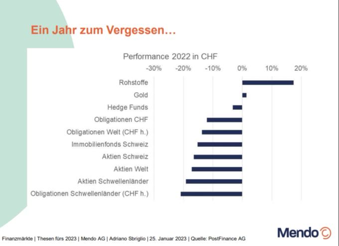 Nur Rohstoffe performenten letztes Jahr positiv, alle restlichen Anlagen schlossen tief im Minus. zVg