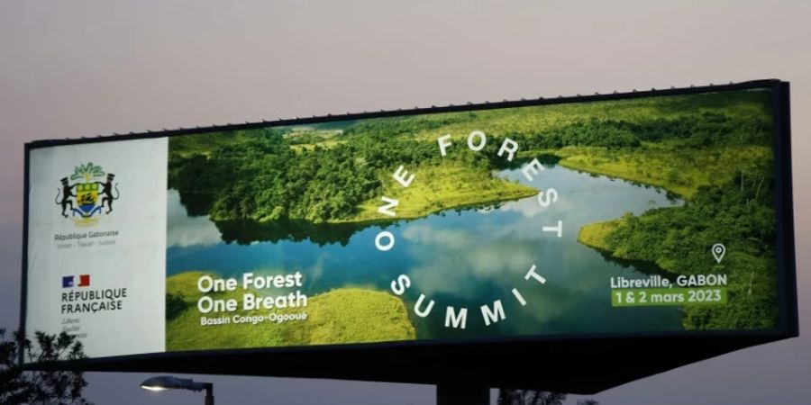 one forest summit gabun