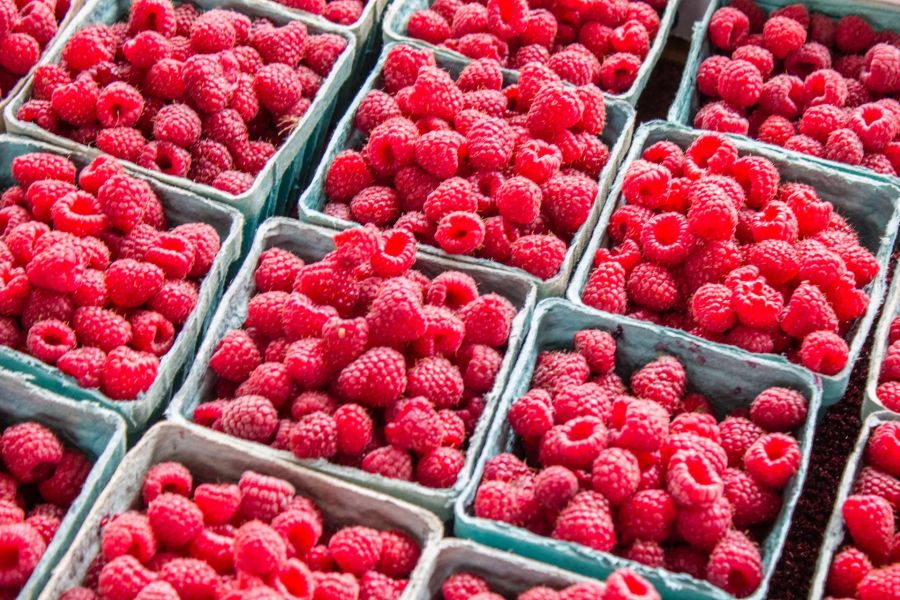 Himbeeren Salicylsäure Dosierung Aspirin