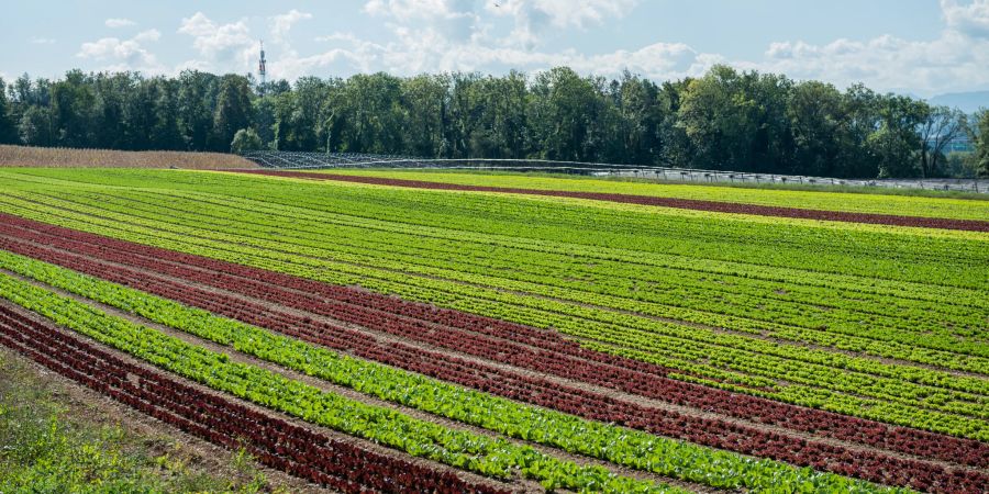 Landwirtschaft in der Region Bülach im Zürcher Unterland.