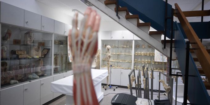 Medizinstudienplätze gehören zu den teuersten Studienplätzen. medizin studium