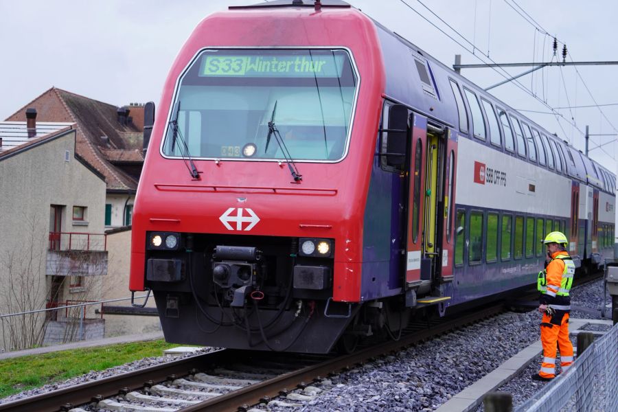 Die S33 kollidierte mit einem Schafunterstand, den es auf die Gleise geweht hatte.