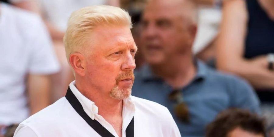 Schaut etwas besorgt auf Angelique Kerber: Boris Becker. Foto: Daniel Bockwoldt