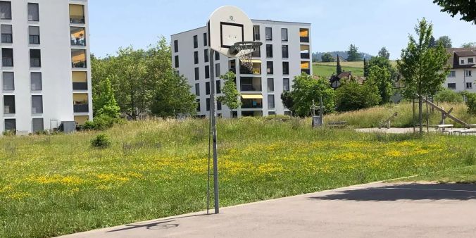 Basketball Feld Liebefeld Park